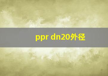 ppr dn20外径